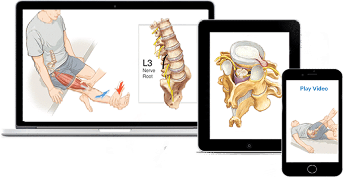 Online CPD Courses Chiropractors Osteopaths Physiotherapist United kingdom